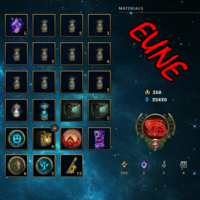 Konto ręcznie expione na ARAMIE EUNE